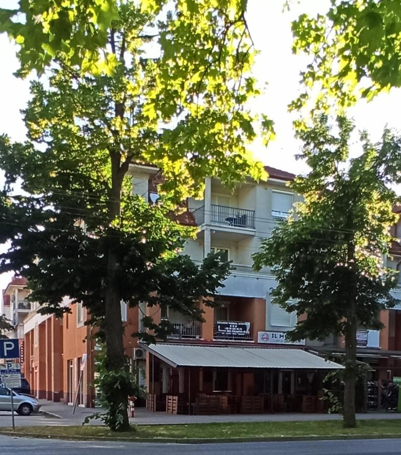 Premium Apartment
